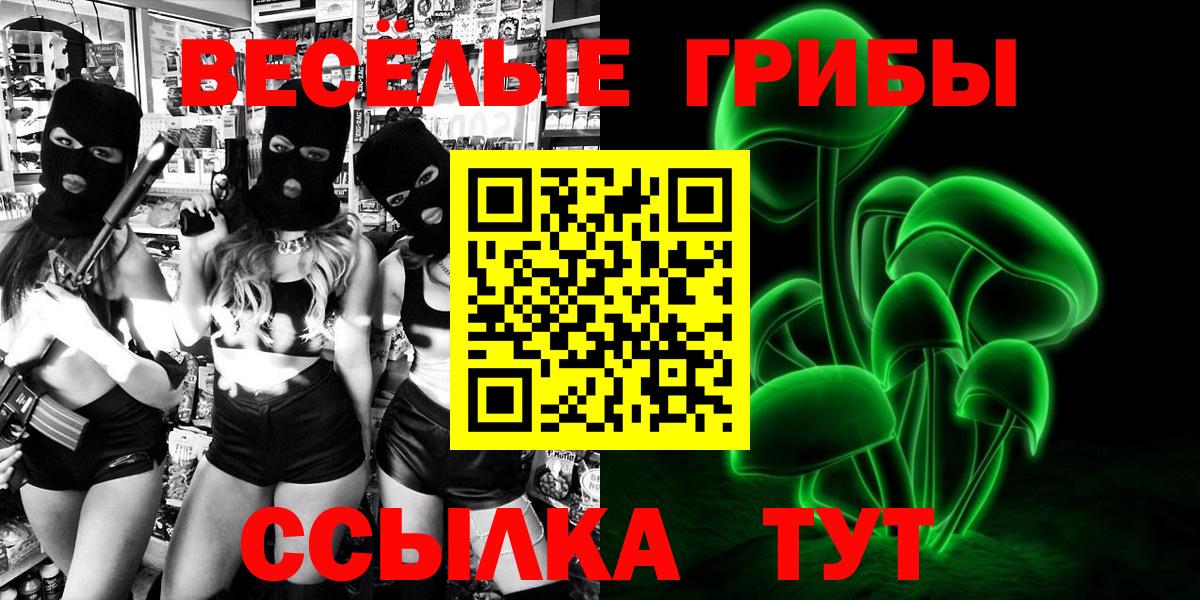 Псилоцибиновые грибы Psilocybe Котовск