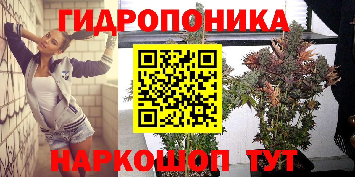 Конопля OG Kush  Каннабис VHQ  Котовск  Марихуана VHQ  Вход с VPN  Бошки марихуана план 